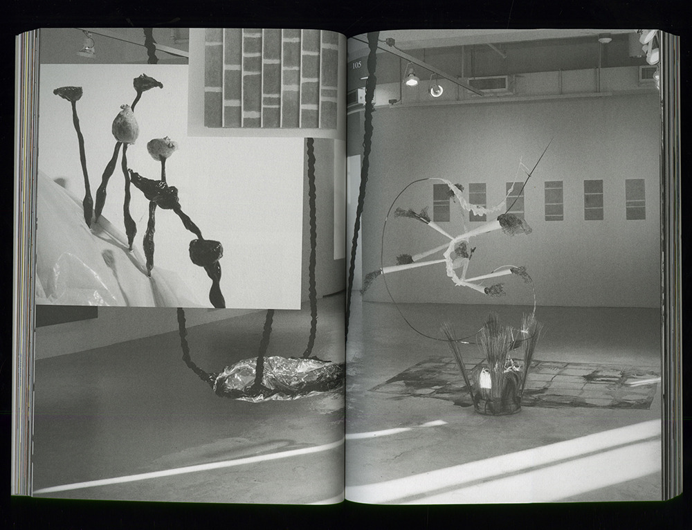 *Yale School of Art MFA 2017 Catalog*
Publication (Editor and Designer with Ben Ganz)