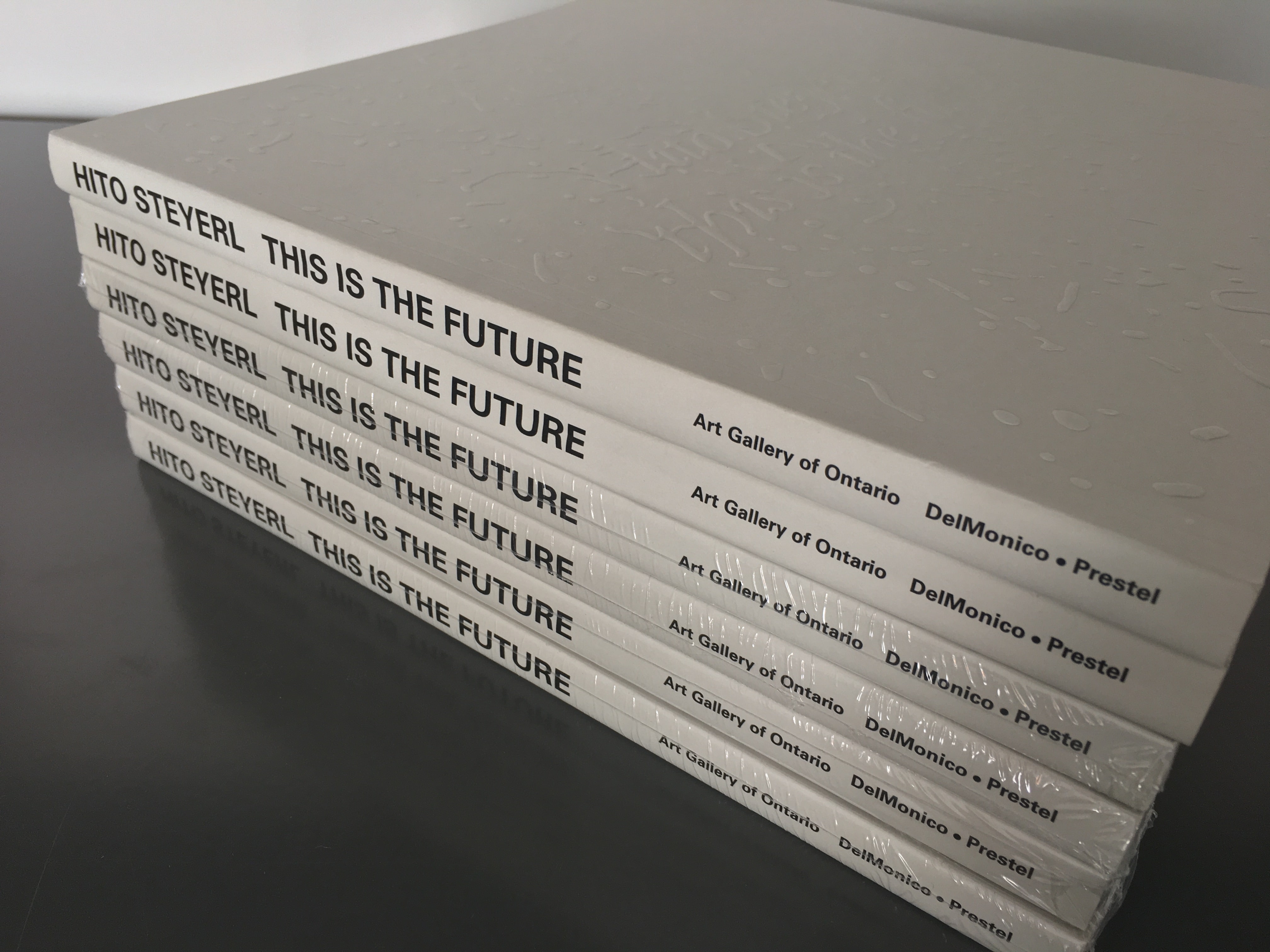 *Hito Steyerl: This Is the Future*, Art Gallery of Ontario
Publication (Designer)