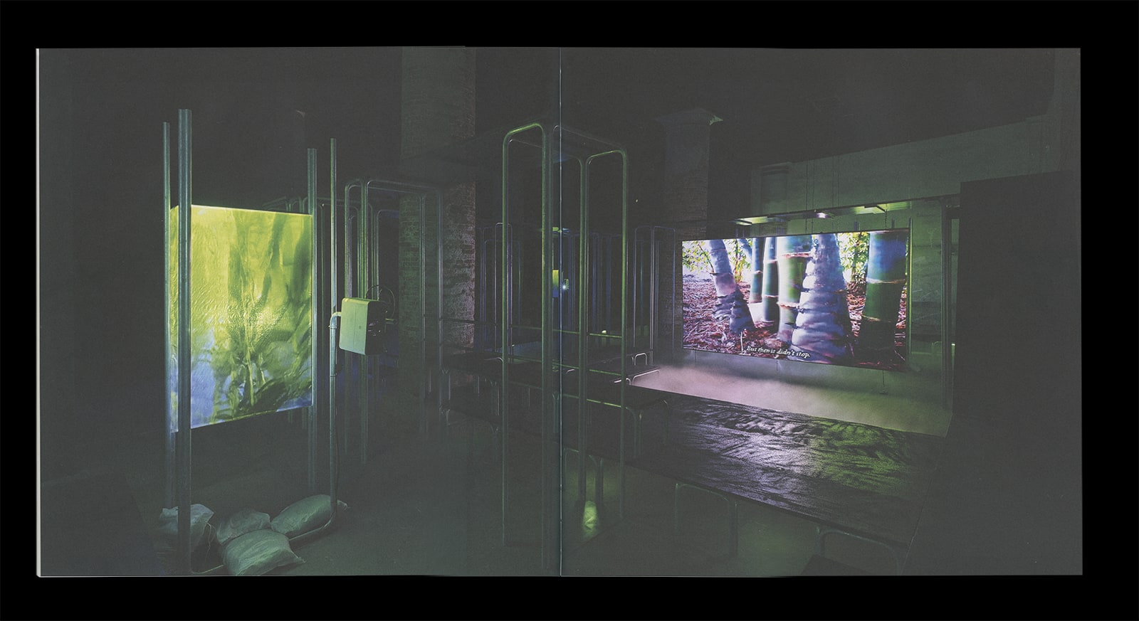 *Hito Steyerl: This Is the Future*, Art Gallery of Ontario
Publication (Designer)