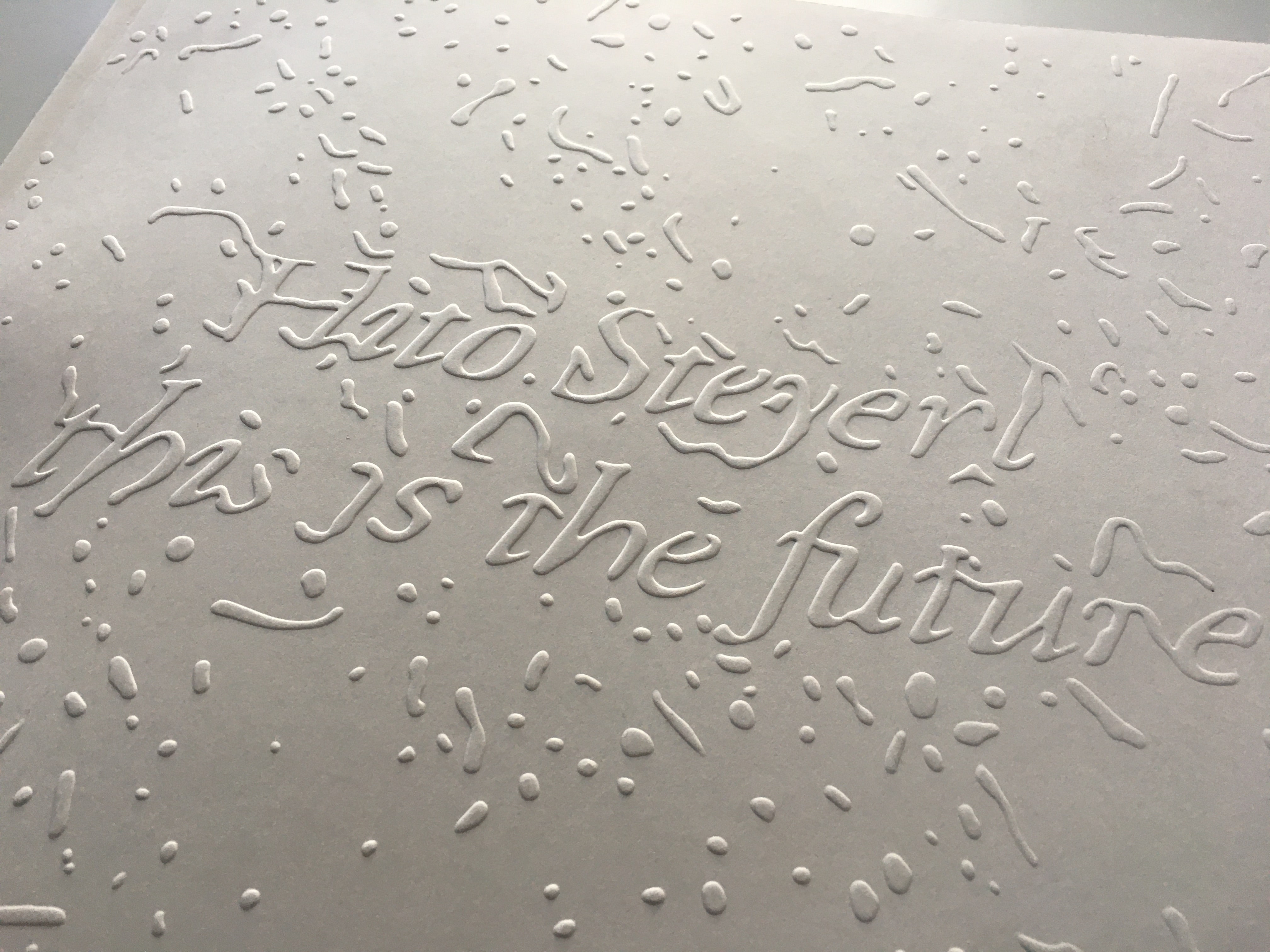 *Hito Steyerl: This Is the Future*, Art Gallery of Ontario
Publication (Designer)