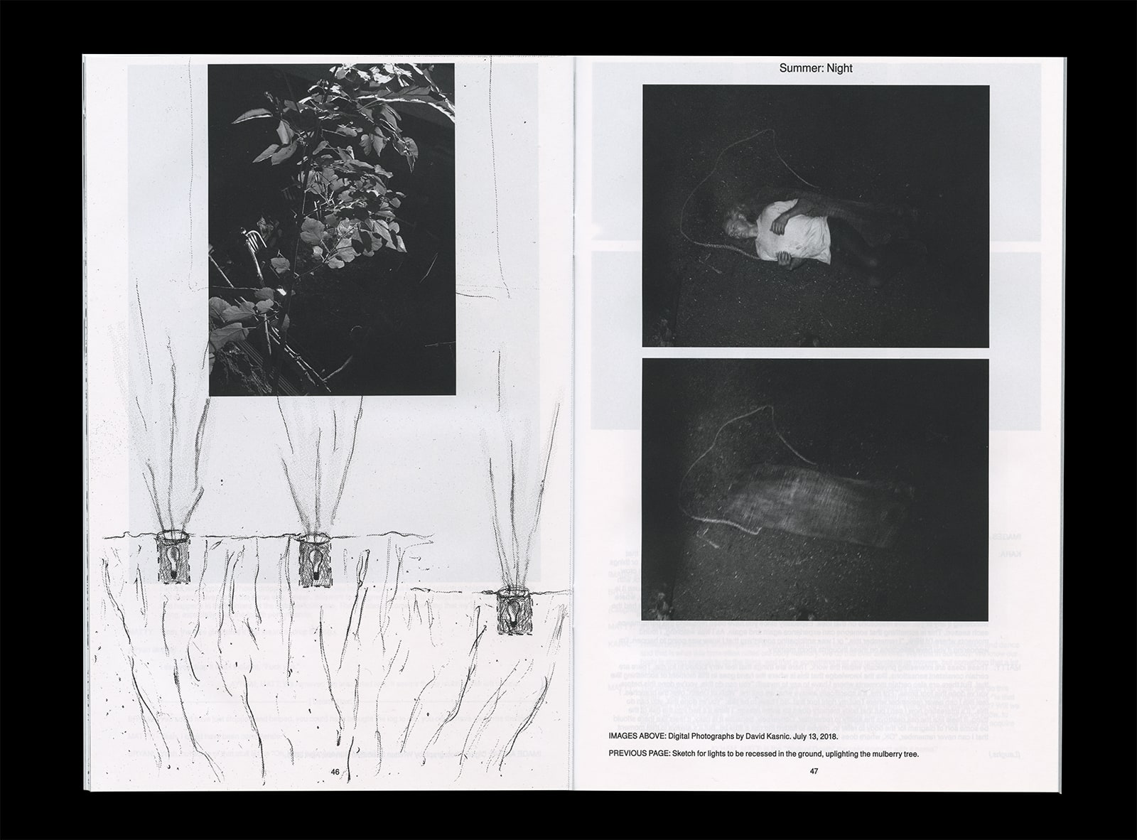 *Wood Bone Mill* by Matty Davis
Publication (Editor and Designer)